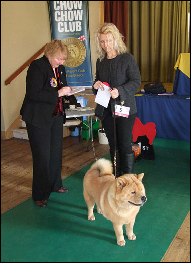 The Chow Chow Club