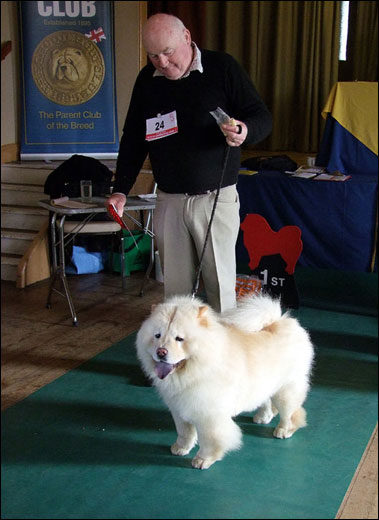 The Chow Chow Club