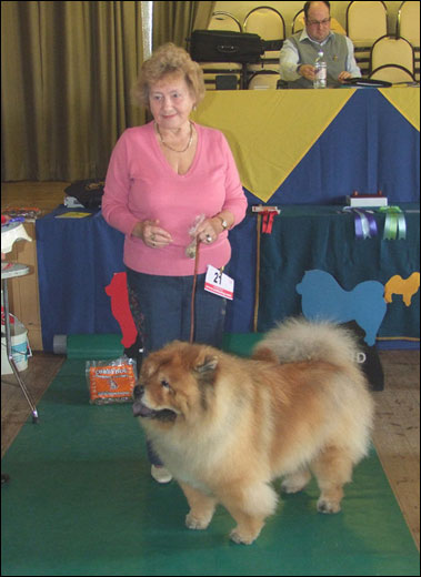The Chow Chow Club