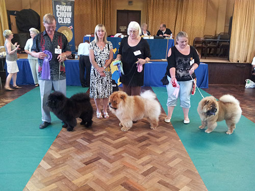 The Chow Chow Club