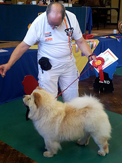 The Chow Chow Club