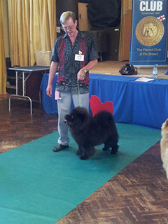 The Chow Chow Club