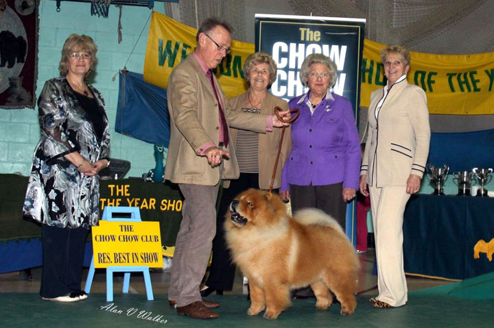 The Chow Chow Club