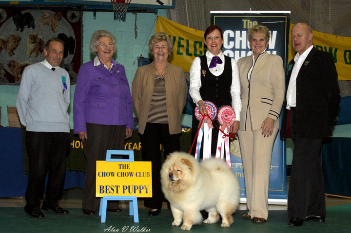 The Chow Chow Club